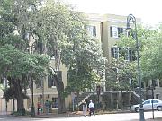 Savannah 090